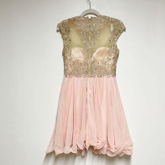 Cinderella Devine Pink Blush Short Embellished A line Chiffon Dress Sz 6 - Picture 4 of 7